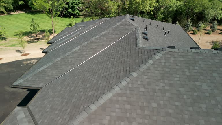 Best Chimney Flashing Repair  in Fruitland, MD