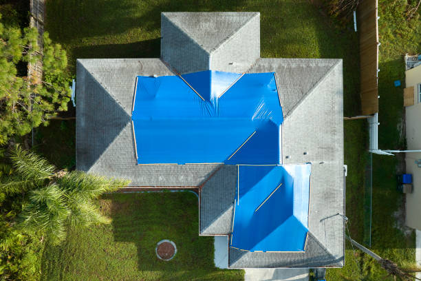 Best Chimney Flashing Repair  in Fruitland, MD