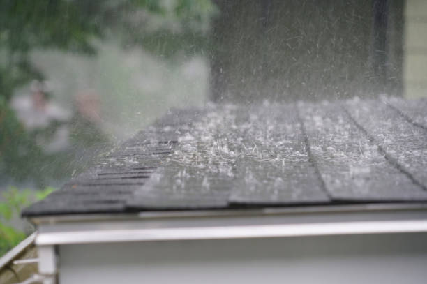 Best Slate Roofing  in Fruitland, MD
