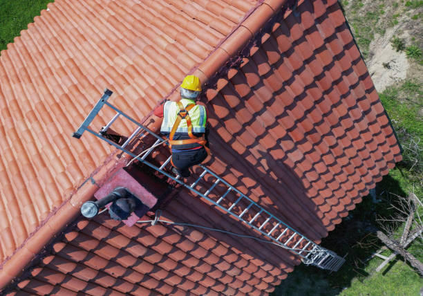 Best Gutter Installation and Repair  in Fruitland, MD