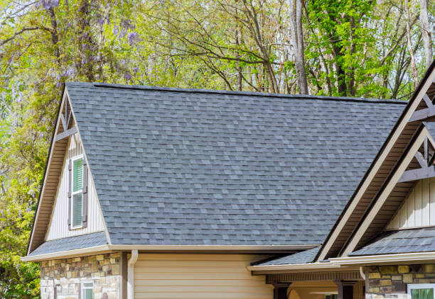 Best Flat Roofing  in Fruitland, MD
