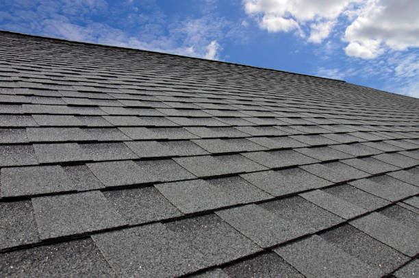 Best Commercial Roofing Services  in Fruitland, MD