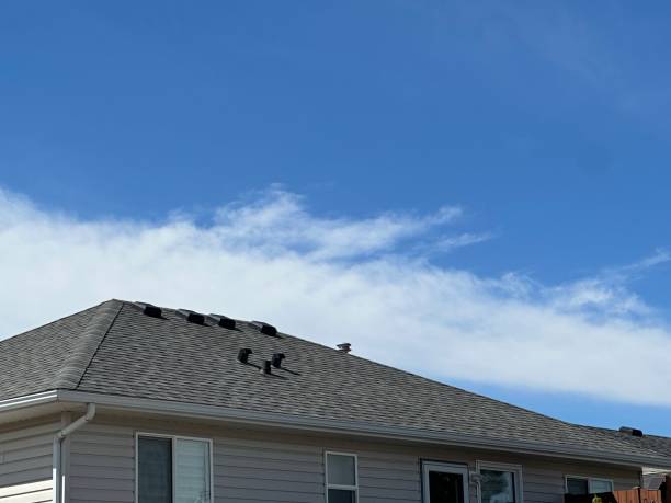 Best Roofing for New Construction  in Fruitland, MD